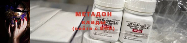 прущие грибы Козловка