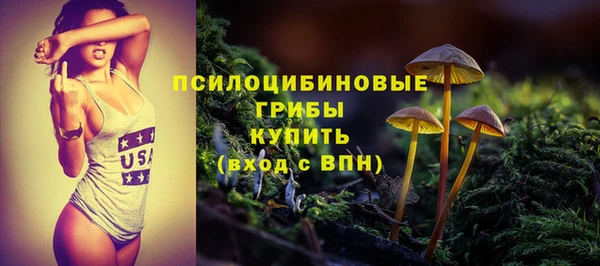 дживик Козельск