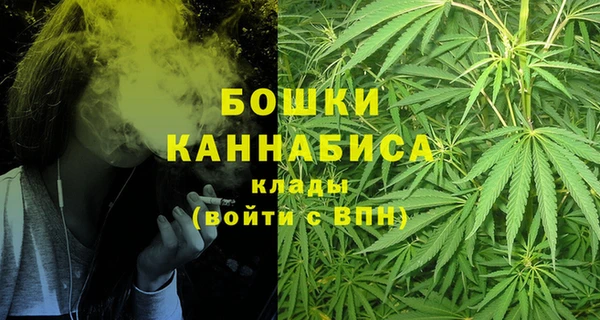 прущие грибы Козловка