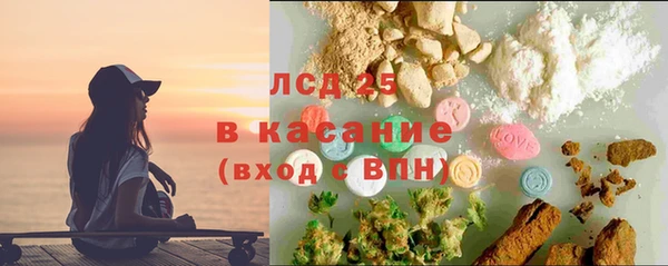 прущие грибы Козловка